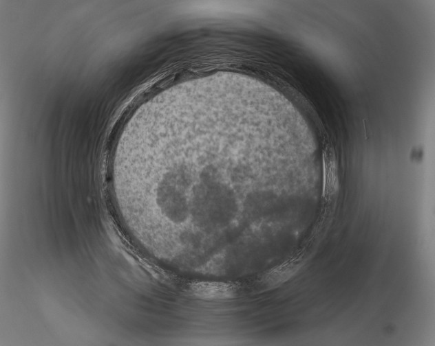 X0000114620435200912011004