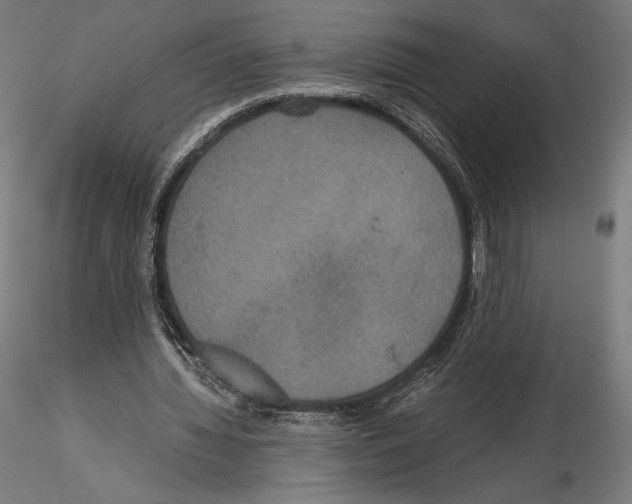 X0000114620436200912011004