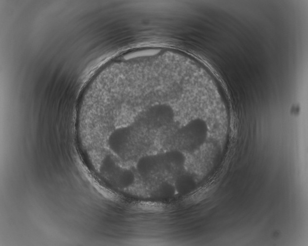 X0000114620437200912011004