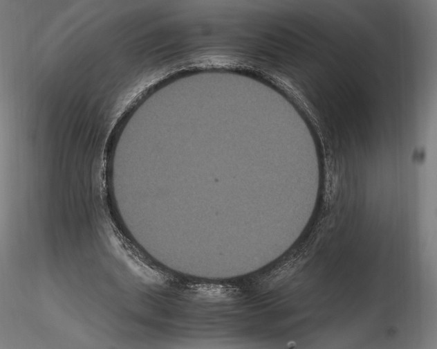 X0000114620439200912011004