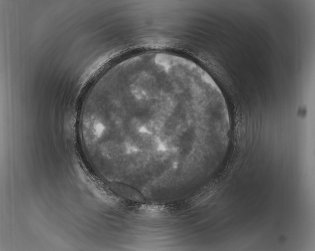 X0000114620440200912011004