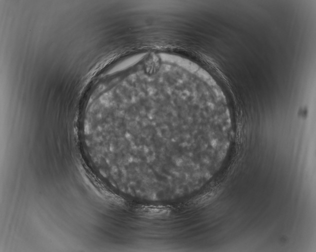 X0000114620443200912011004