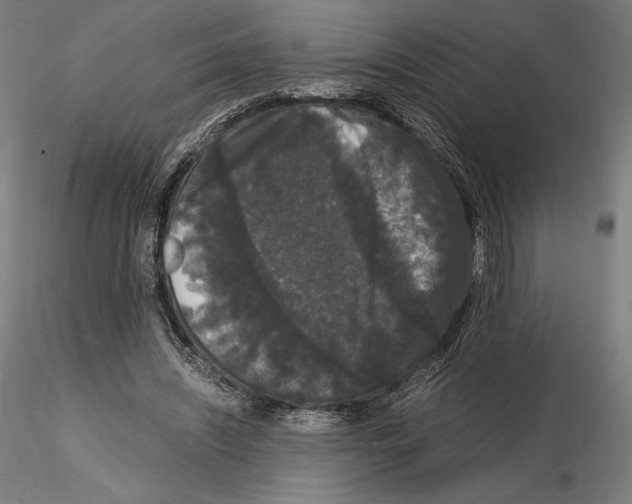 X0000114620444200912011005