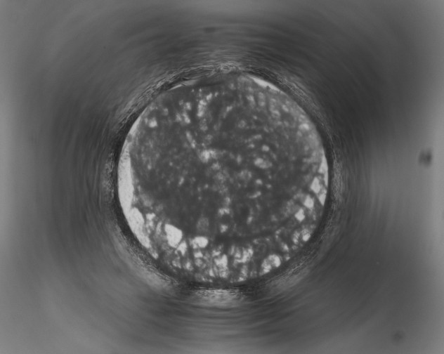 X0000114620449200912011005