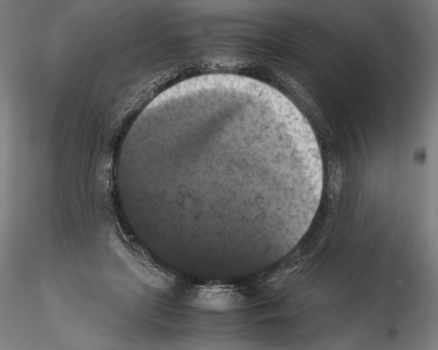 X0000114620451200912011005