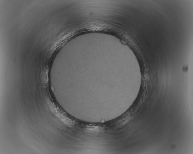 X0000114620454200912011005