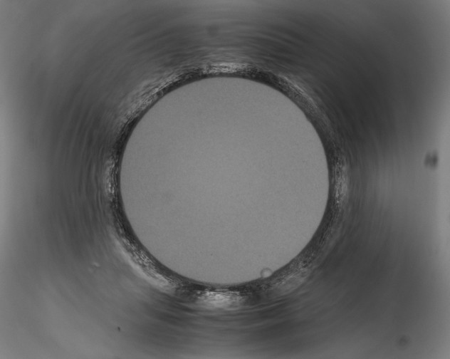 X0000114620455200912011005