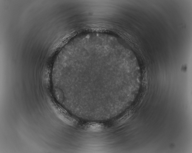 X0000114620456200912011005