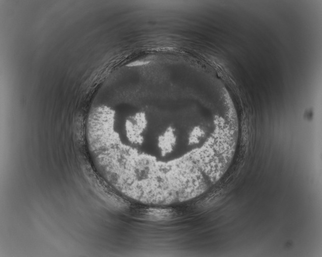 X0000114620457200912011005