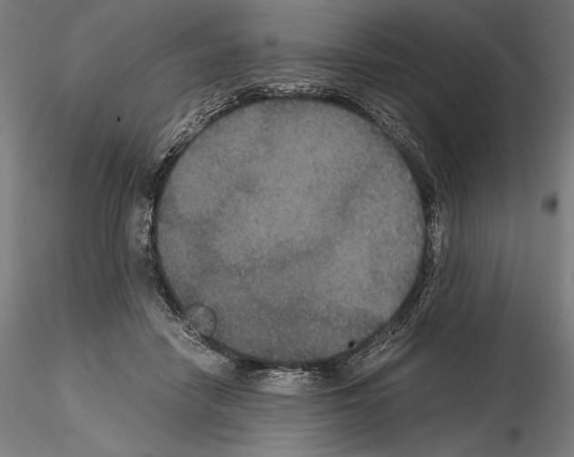 X0000114620458200912011005