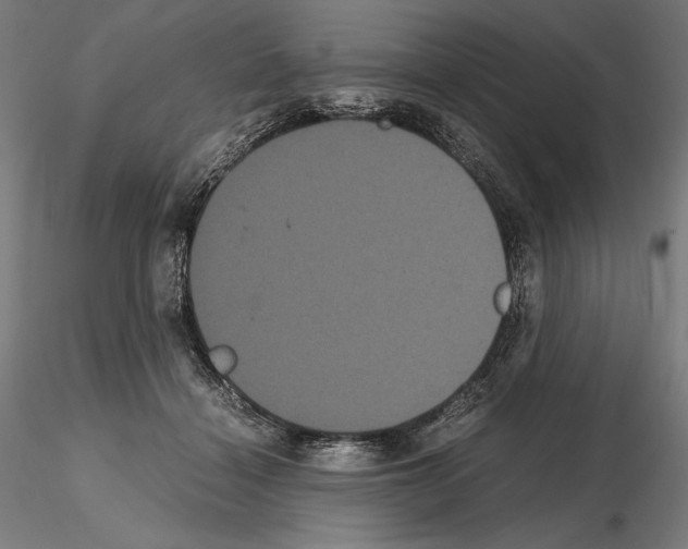 X0000114620460200912011005