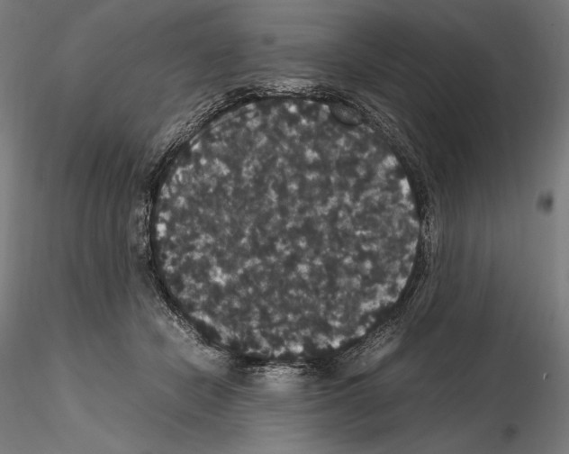 X0000114620462200912011005