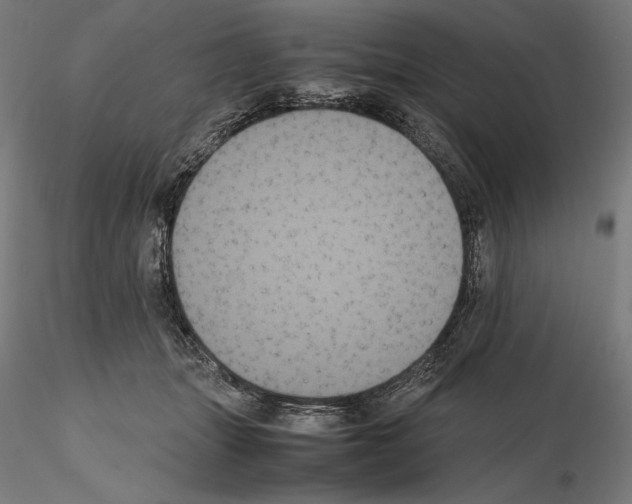 X0000114620463200912011005