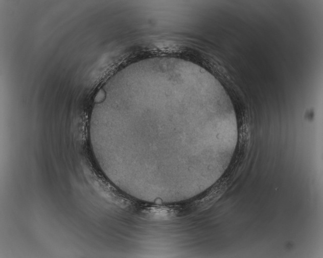 X0000114620464200912011005