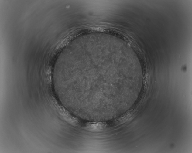 X0000114620466200912011005