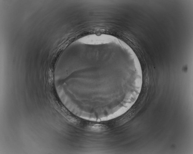 X0000114620467200912011005