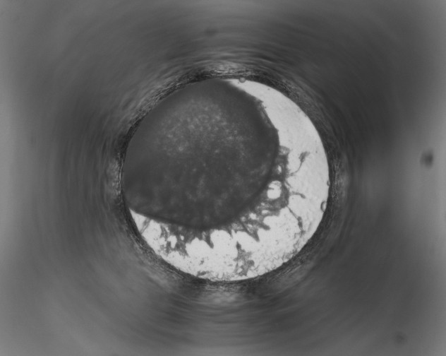 X0000114620469200912011005