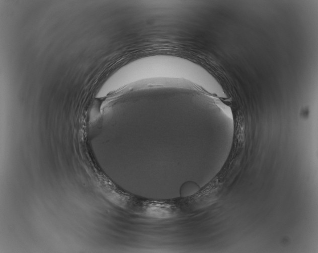 X0000114620471200912011005