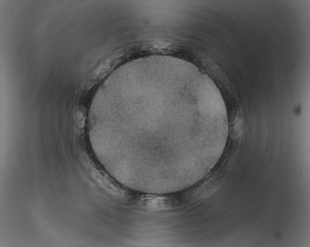 X0000114620472200912011005