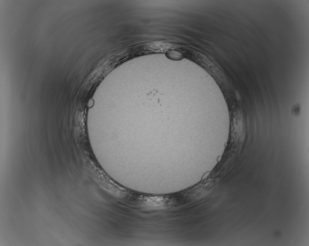 X0000114620473200912011005