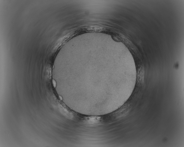 X0000114620474200912011005