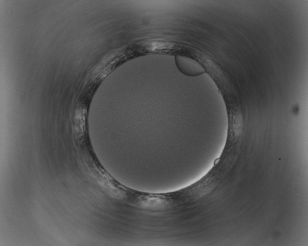 X0000114620475200912011005