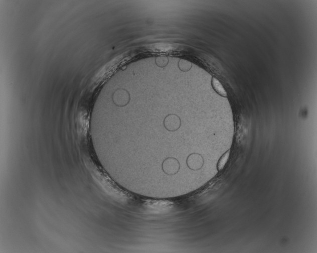 X0000114620476200912011005