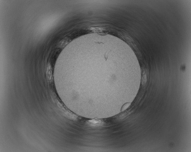 X0000114620477200912011005