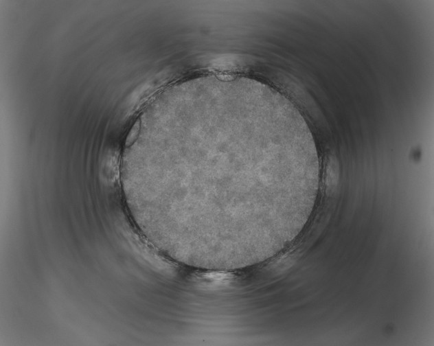 X0000114620478200912011005