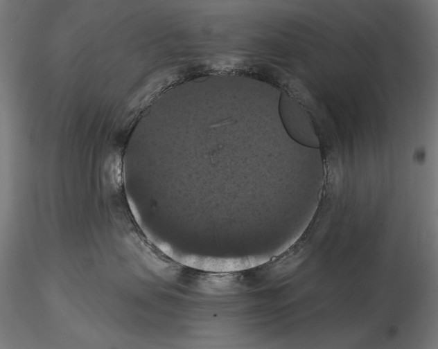 X0000114620479200912011005