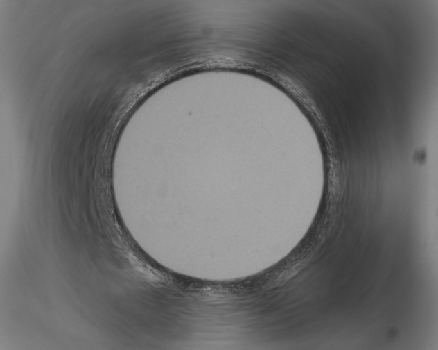 X0000114620481200912011004