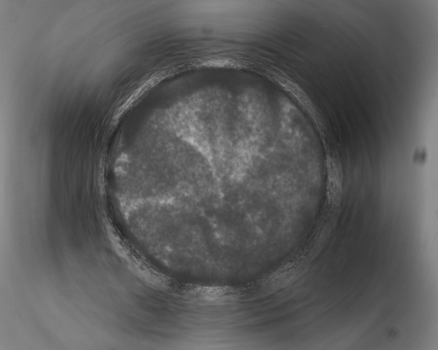 X0000114620482200912011004