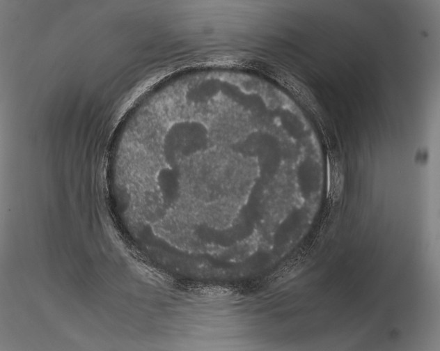 X0000114620483200912011004