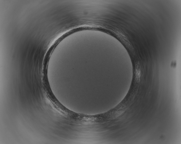 X0000114620484200912011004