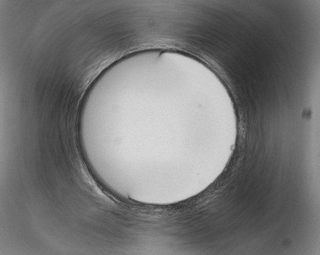 X0000114620485200912011004