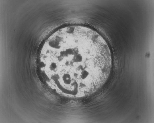 X0000114620487200912011004