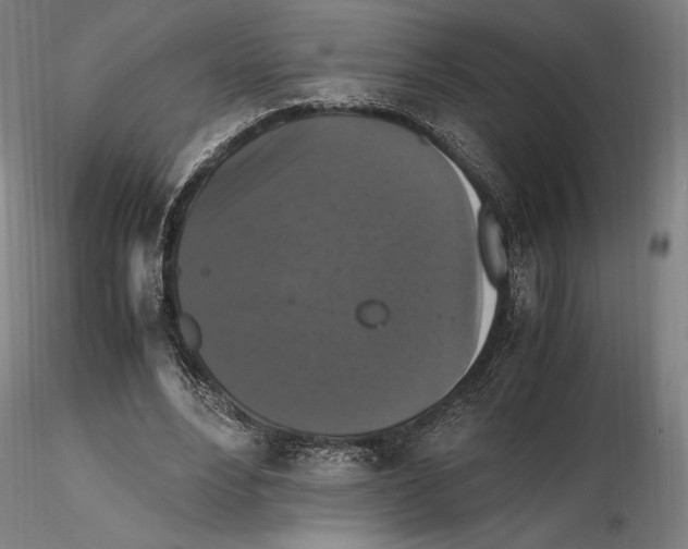 X0000114620488200912011004