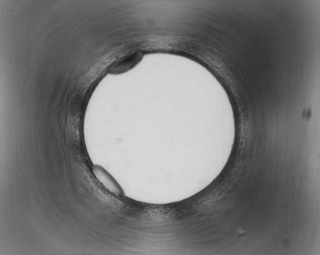 X0000114620489200912011004