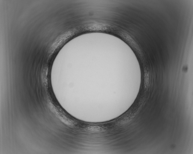 X0000114620490200912011004