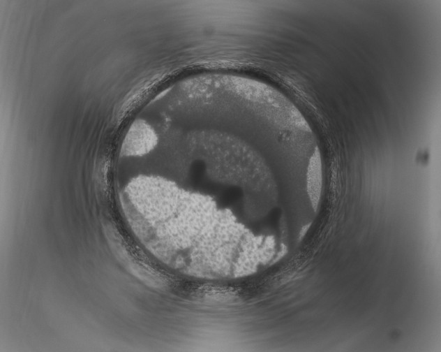 X0000114620491200912011004