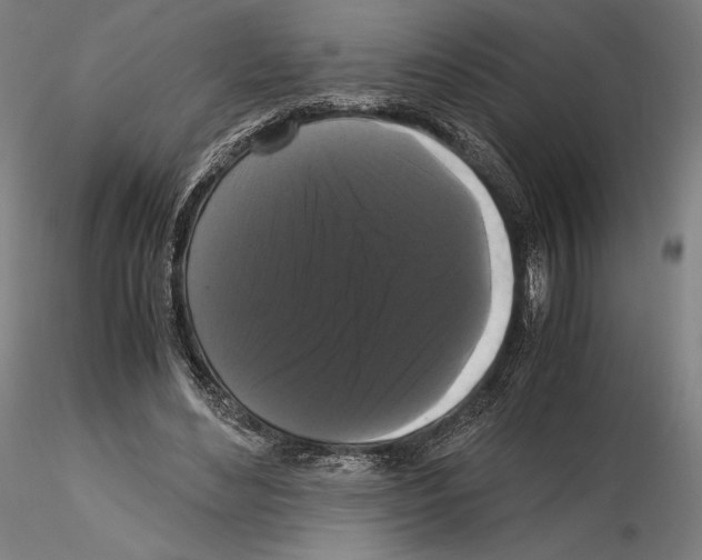 X0000114620492200912011004