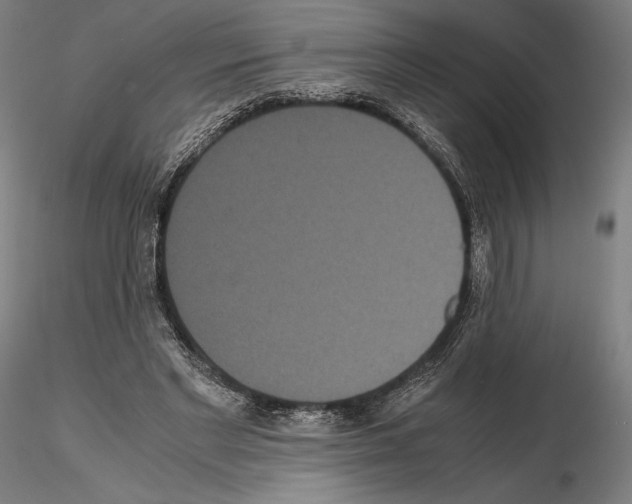 X0000114620493200912011004