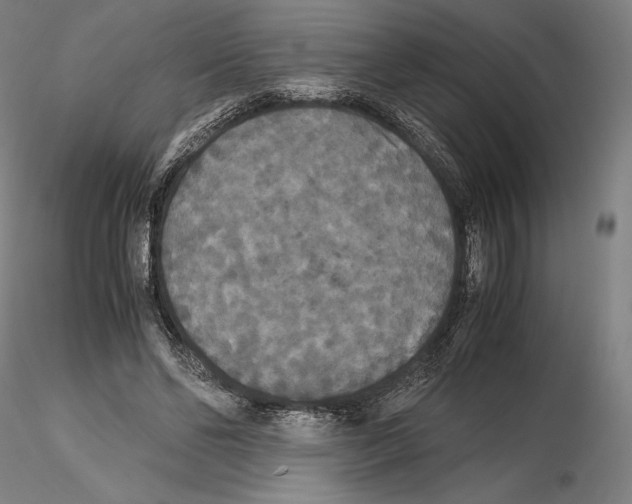 X0000114620494200912011004