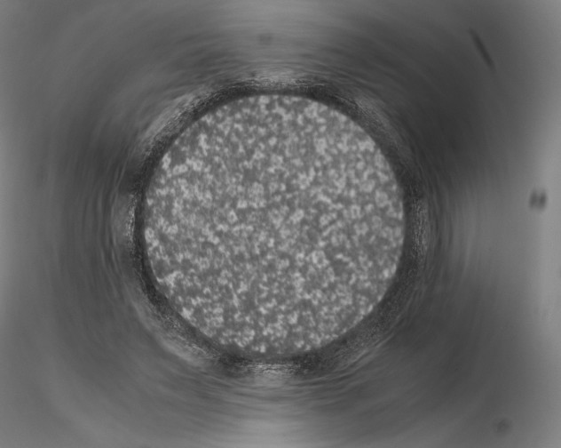 X0000114620495200912011004