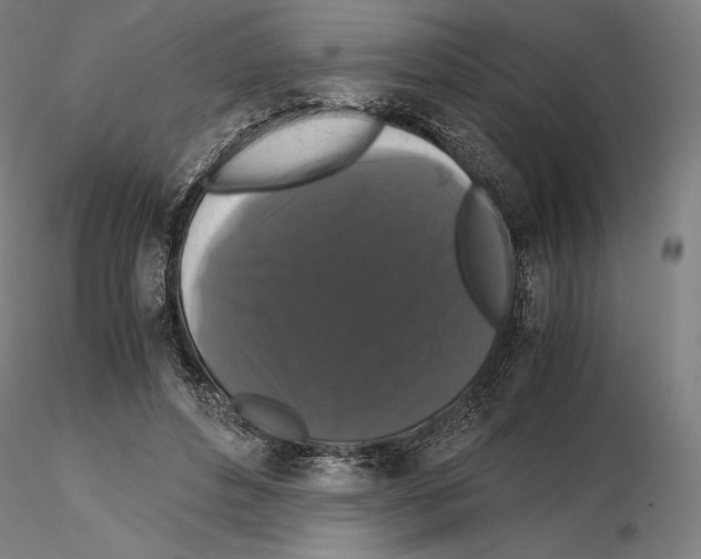 X0000114620496200912011004