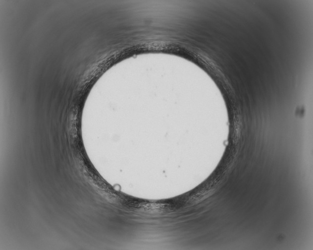 X0000114620497200912011004