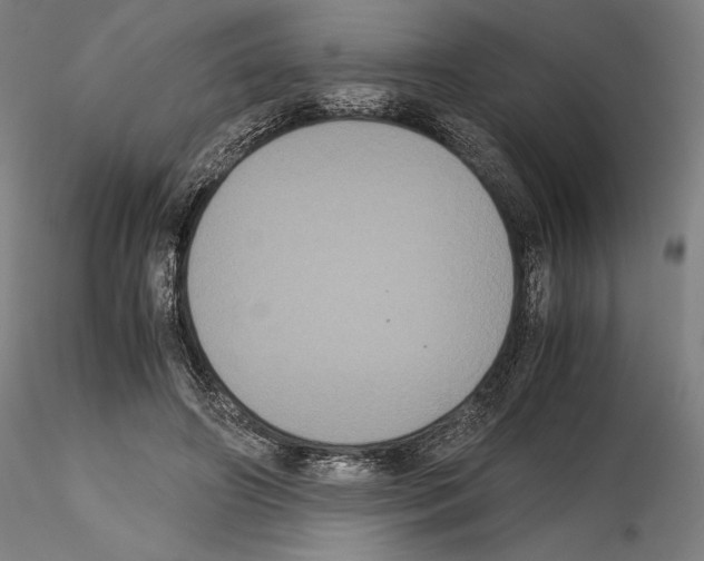 X0000114620498200912011004