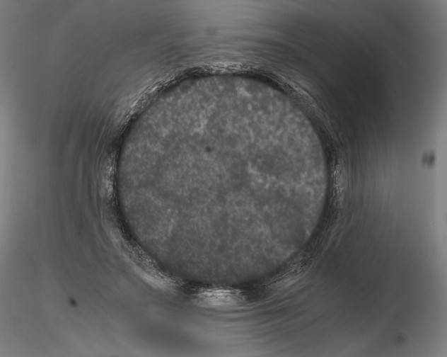 X0000114620499200912011004