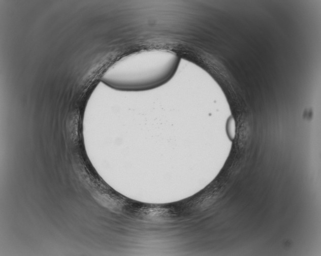 X0000114620501200912011004