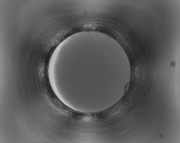 X0000114620504200912011004